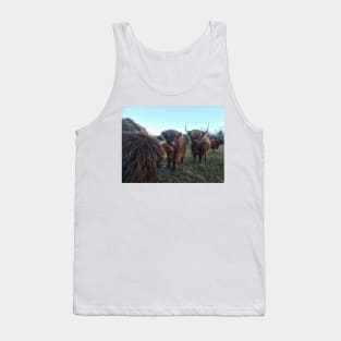 Scottish Highland Cattle Calves 1851 Tank Top